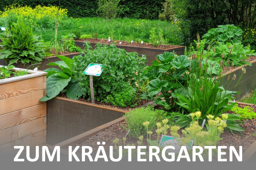 zum kraeutergarten 3